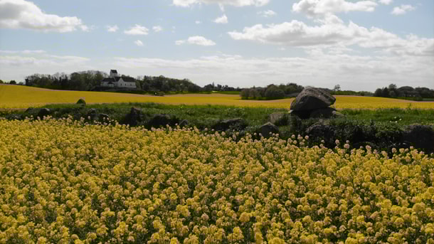 Long dolmen the Grave of King Humble