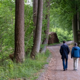 Walking Tour: Stengade Woods (Stengade Skov)