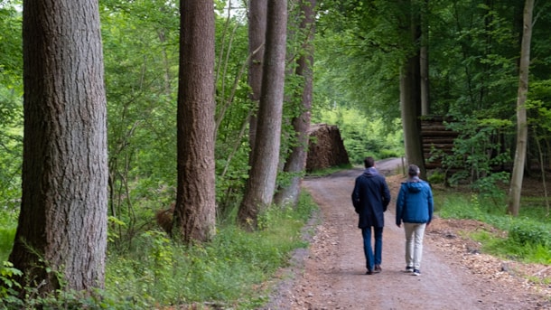 Walking Tour: Stengade Woods (Stengade Skov)
