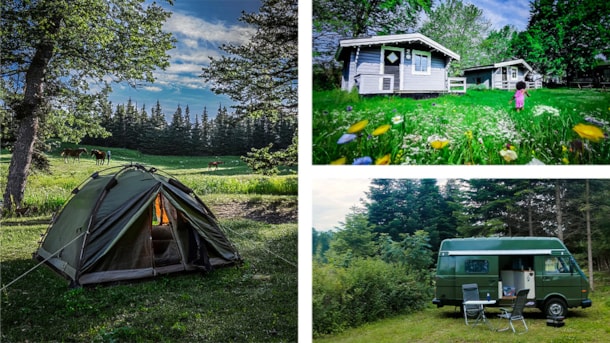 Langeland Camping - a experience in nature