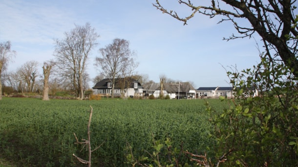 Stubbegaard - Holiday apartments near farm from 1877