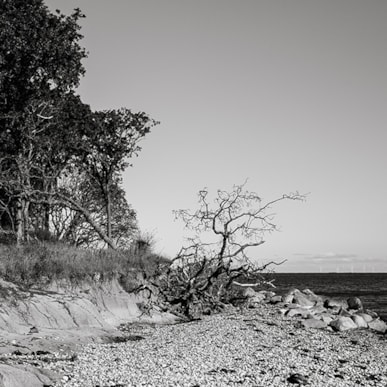 Gallery MOMLIS - artistic gallery in Bagenkop