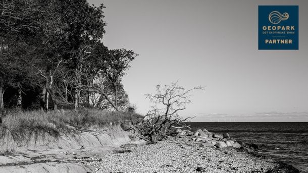 Gallery MOMLIS - artistic gallery in Bagenkop