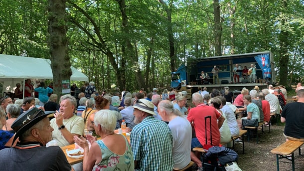 Picnic in the Park - live music