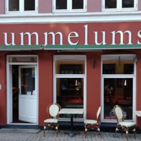 Thummelumsen in Rudkøbing