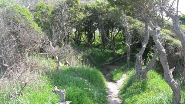 Gærdselsskovene - Sydlangeland