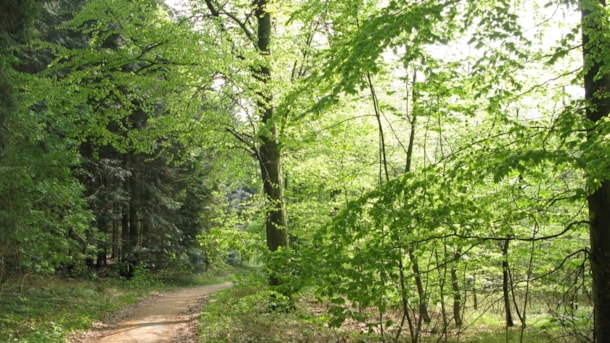 Bræmlevænge - Sleep in a tent in the forest