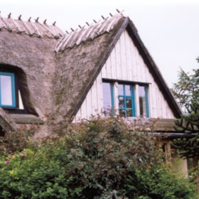 B&B at Ana Smeden - Ristinge Hale