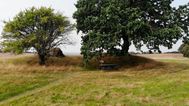 Stendyssen Kong Renes høj