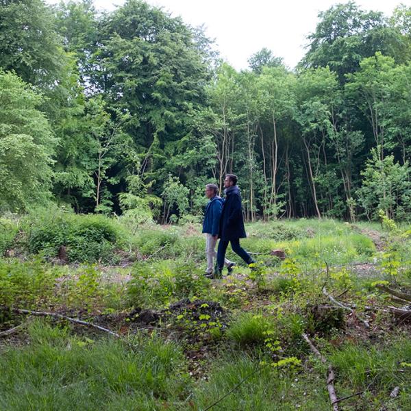 Par på gåtur i Stengade Skov