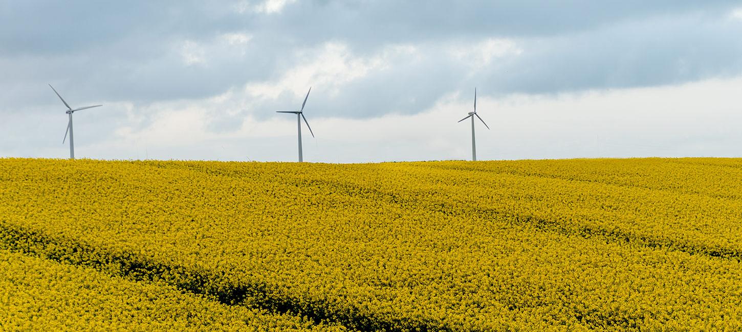 Vindmøllerne på Langeland dækker 164% af øens strømforbrug